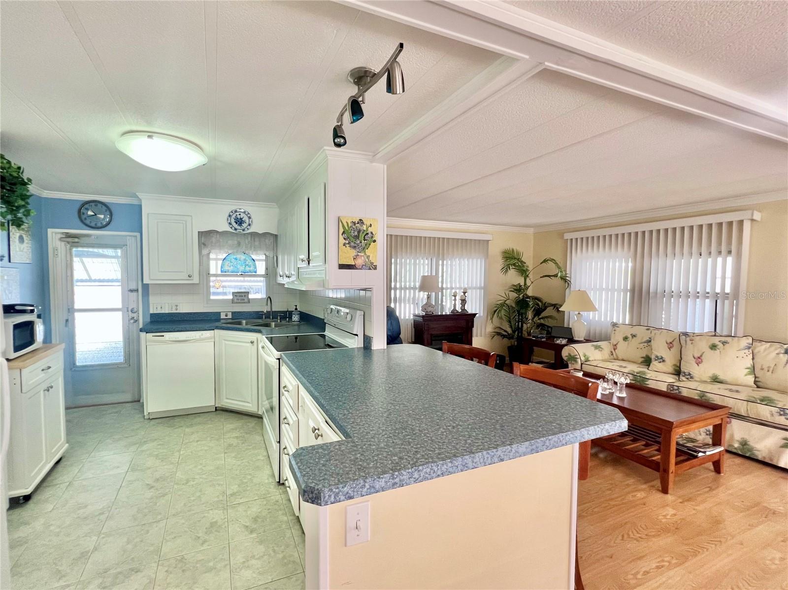 1100 BELCHER RD S #366, LARGO, FL, 33771