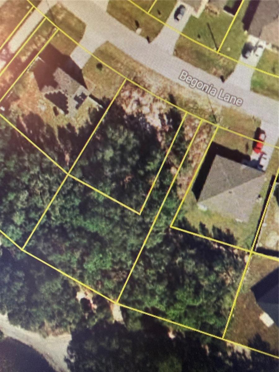 244 BEGONIA LN, KISSIMMEE, FL, 34759