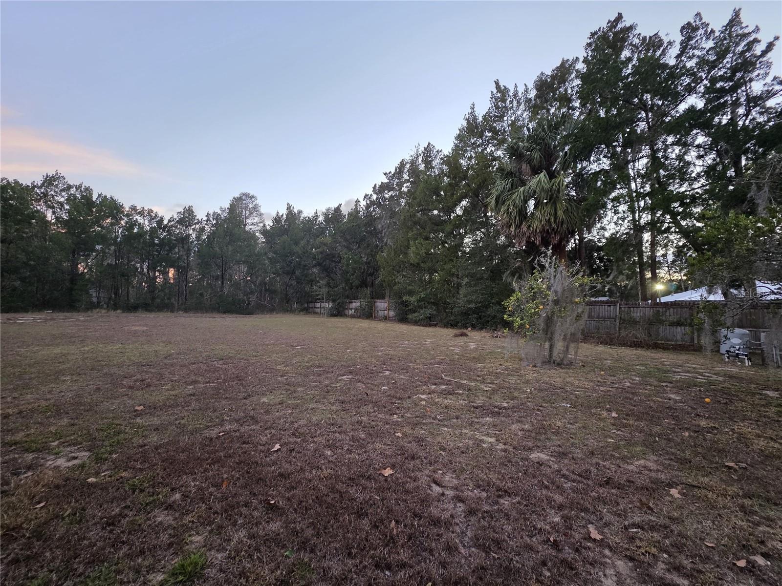 36014 LAKE UNITY NURSERY RD, FRUITLAND PARK, FL, 34731