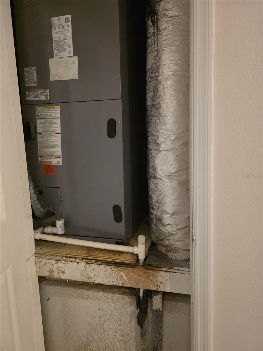 36014 LAKE UNITY NURSERY RD, FRUITLAND PARK, FL, 34731