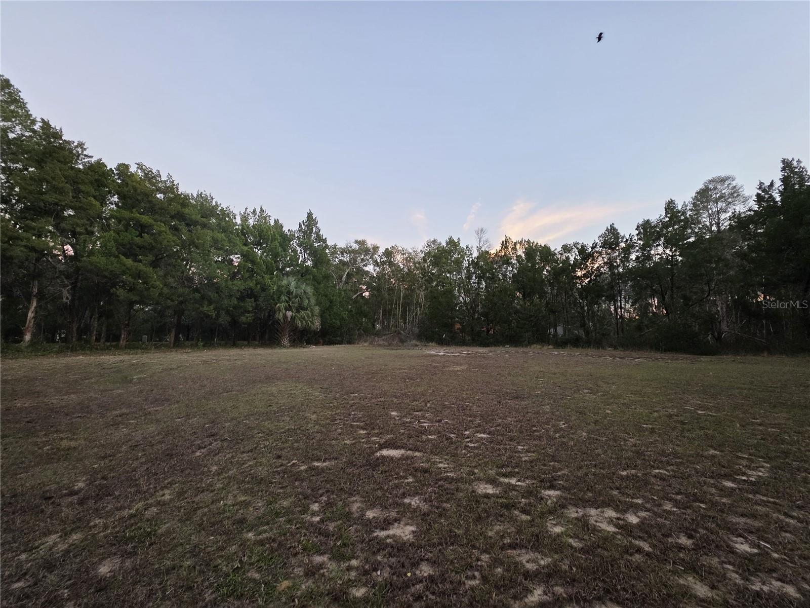 36014 LAKE UNITY NURSERY RD, FRUITLAND PARK, FL, 34731