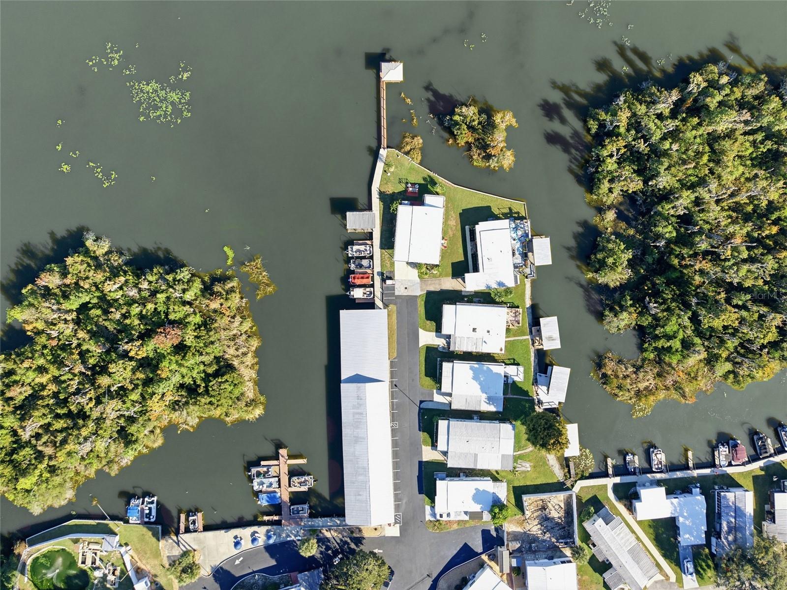 3896 PICCIOLA RD #224, FRUITLAND PARK, FL, 34731