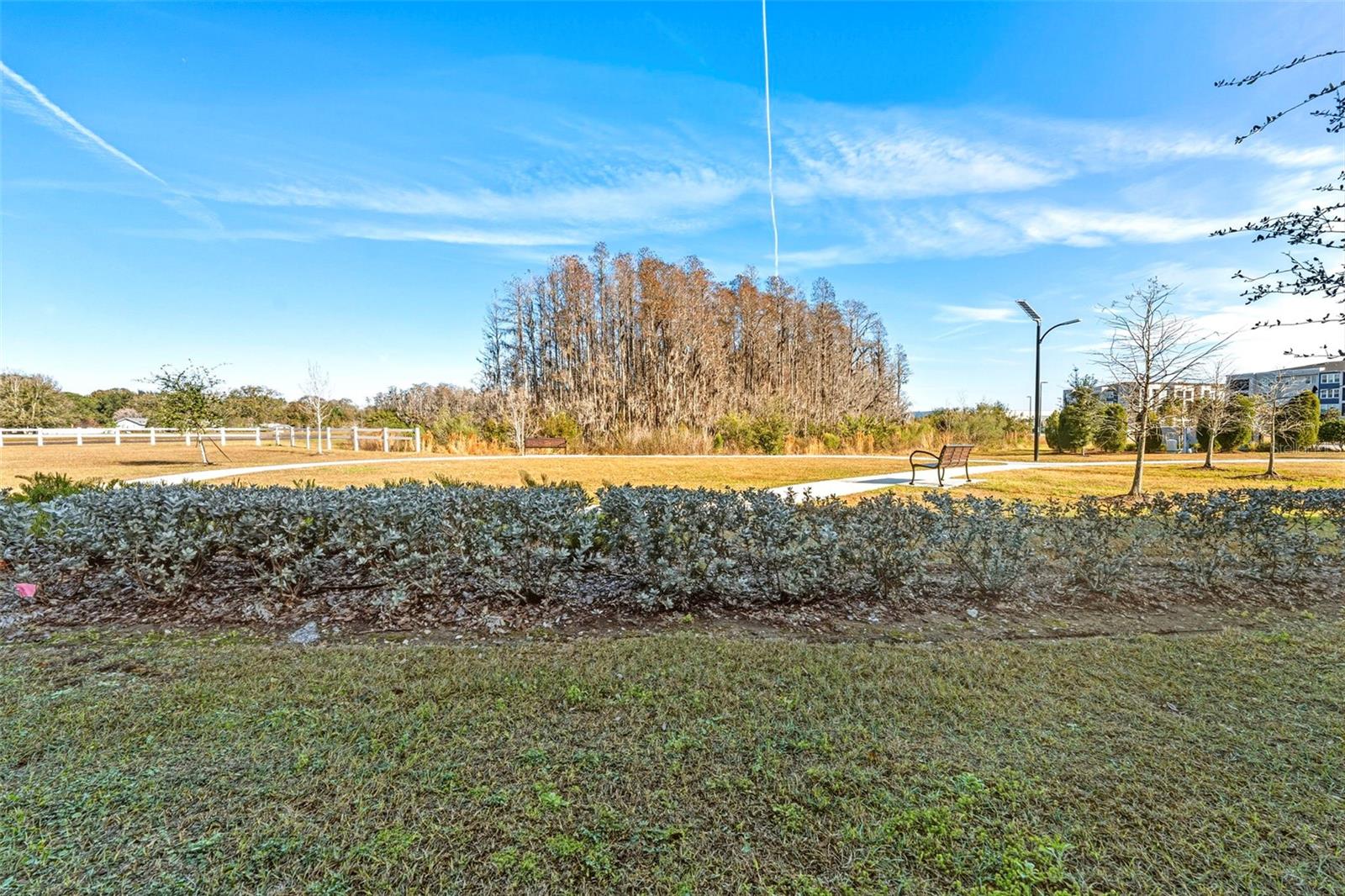 2271 CERULEAN SKY DR, LUTZ, FL, 33558