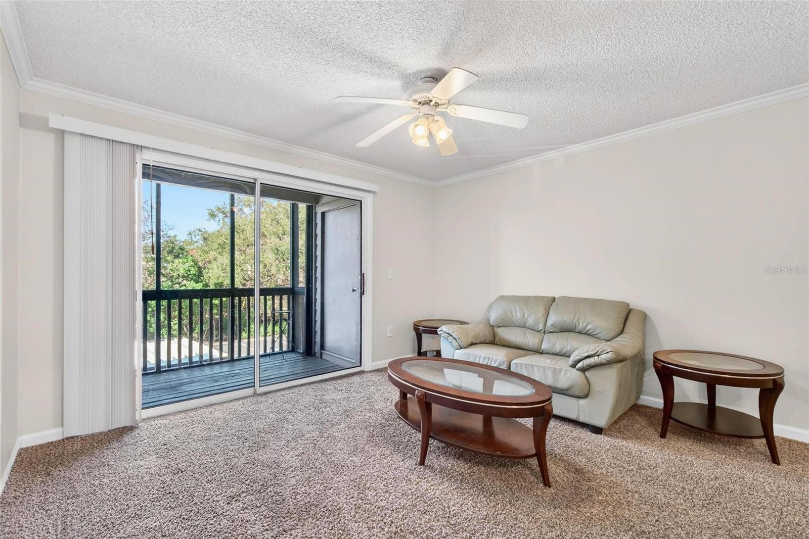 2500 WINDING CREEK BLVD #E203, CLEARWATER, FL, 33761