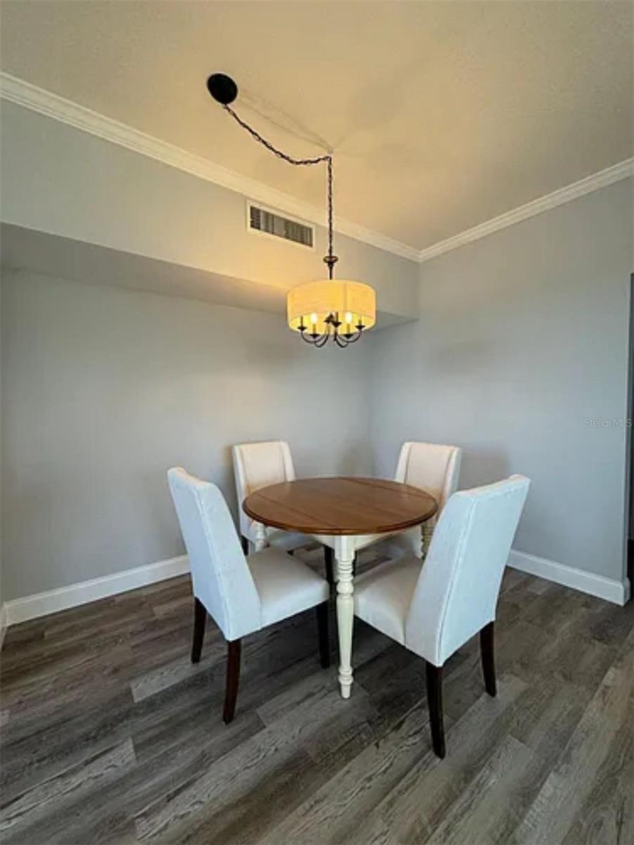 9820 LAKE CHASE ISLAND WAY #9820, TAMPA, FL, 33626