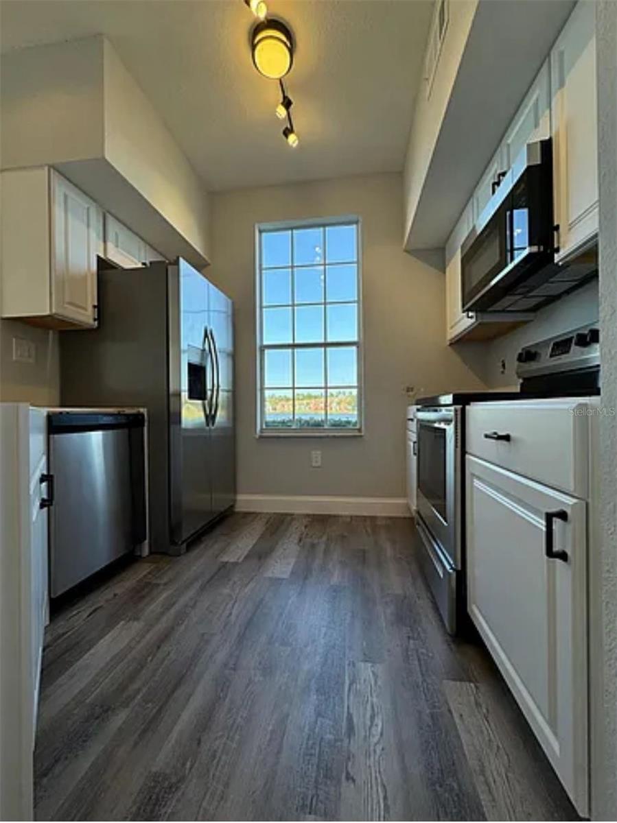 9820 LAKE CHASE ISLAND WAY #9820, TAMPA, FL, 33626