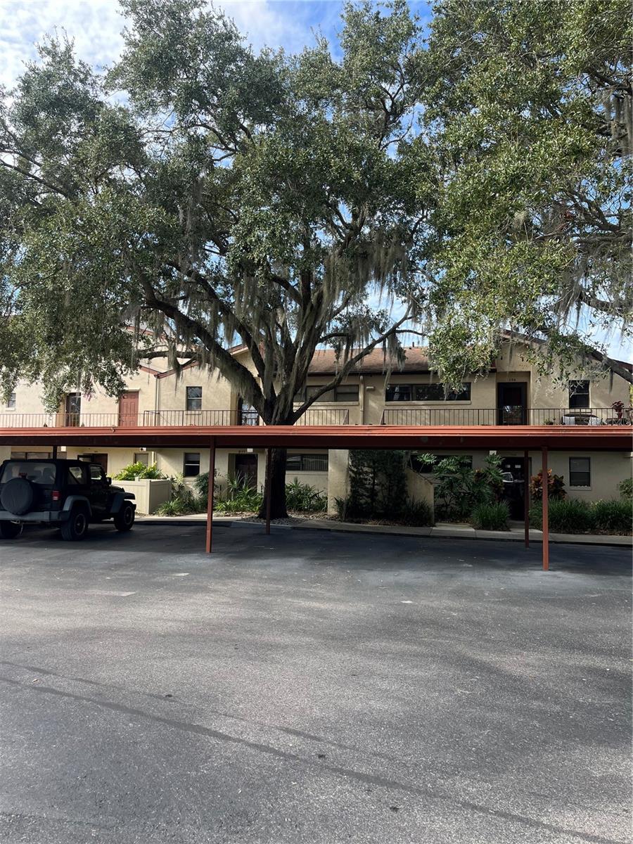 4300 BAYWOOD BLVD #B105, MOUNT DORA, FL, 32757