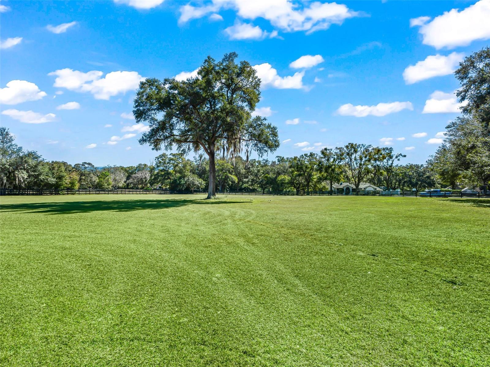 9865 SW 74TH AVE, OCALA, FL, 34476