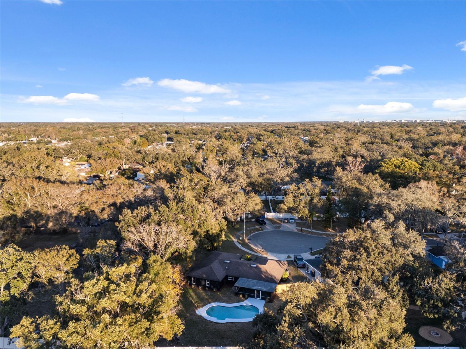 14912 WEDGEWOOD PL, TAMPA, FL, 33613