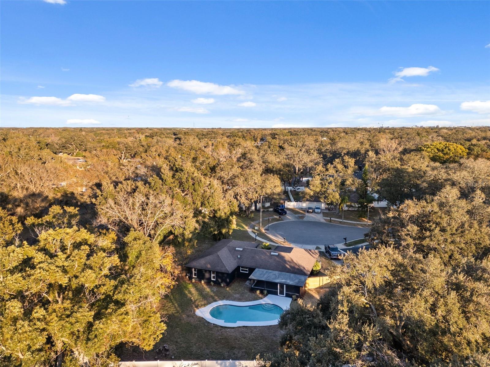 14912 WEDGEWOOD PL, TAMPA, FL, 33613