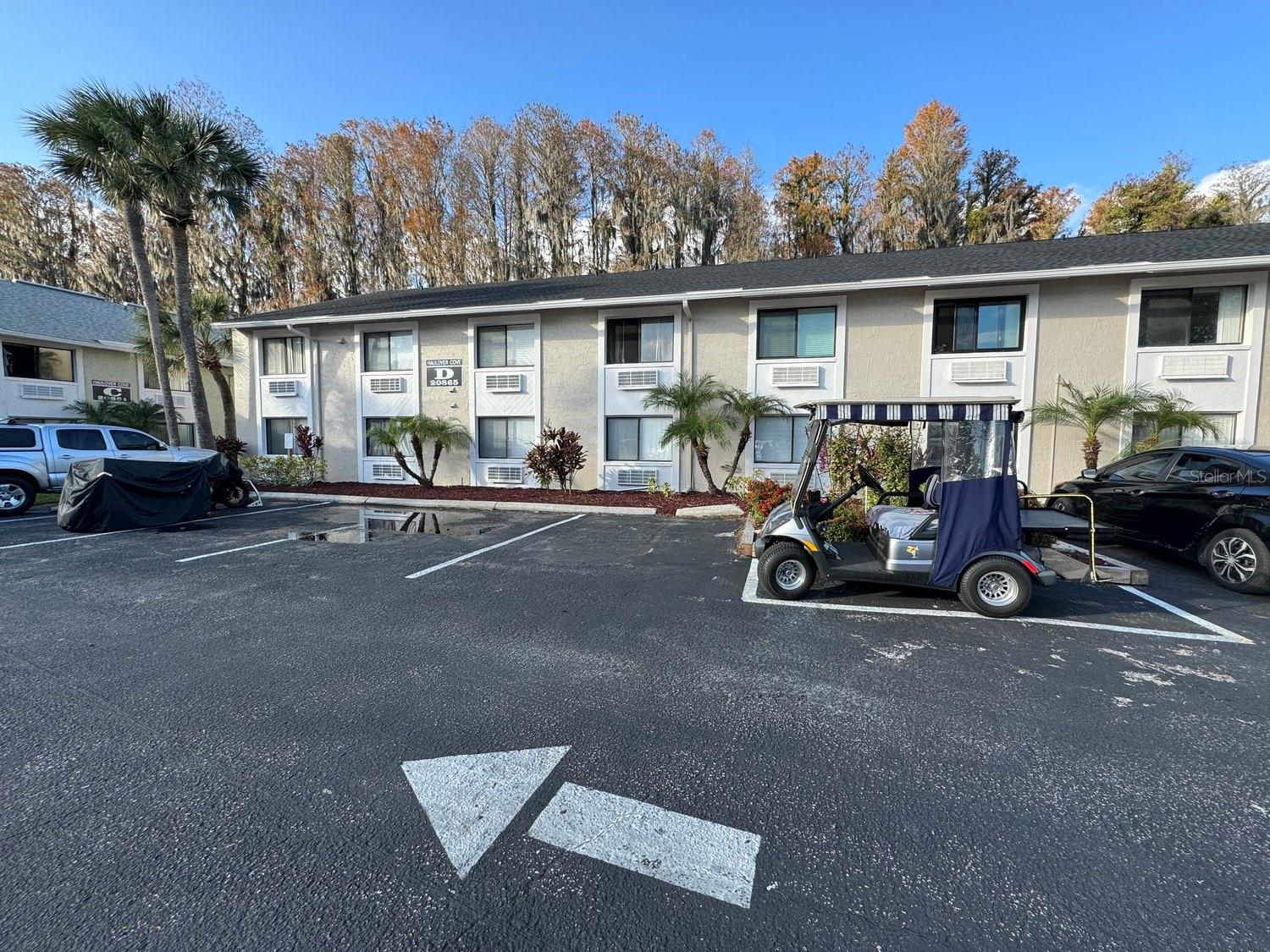 20865 HAULOVER UNIT CV #D-10, LUTZ, FL, 33558