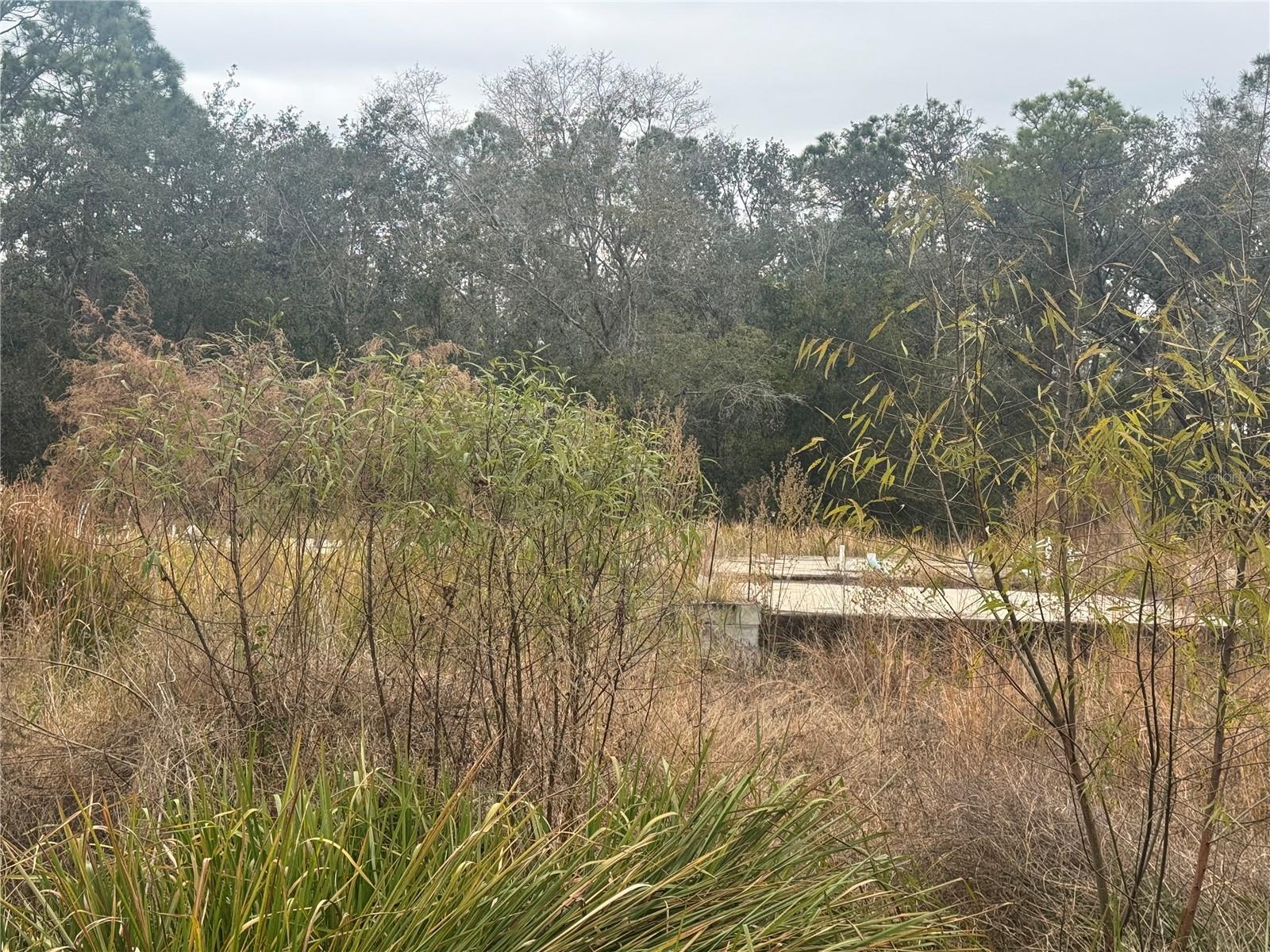 1443 TERN CT, POINCIANA, FL, 34759