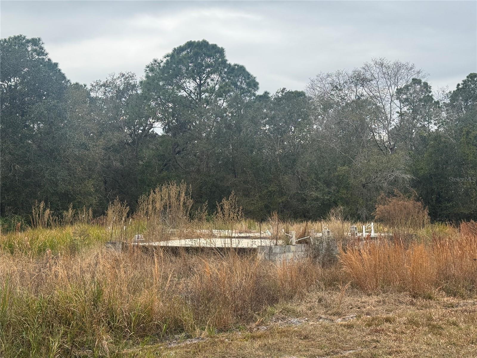 1443 TERN CT, POINCIANA, FL, 34759