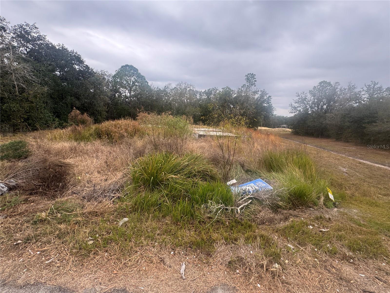 1443 TERN CT, POINCIANA, FL, 34759