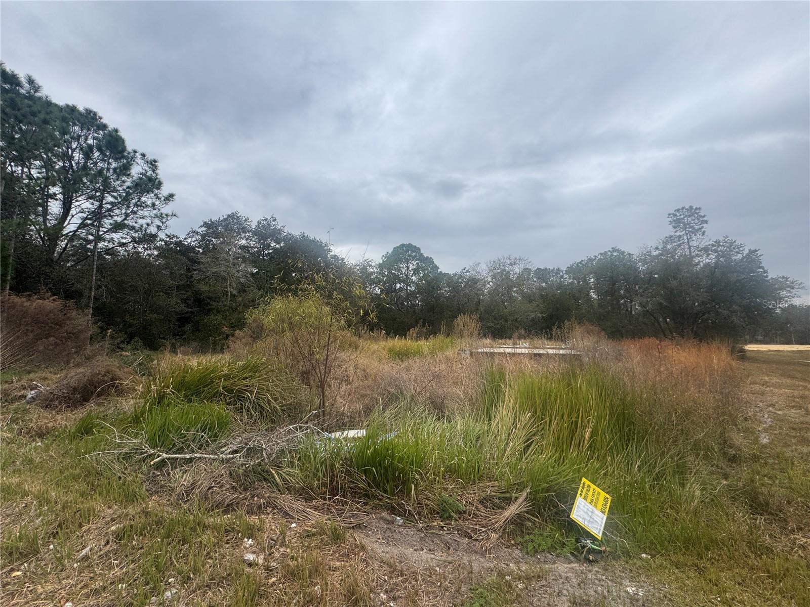 1443 TERN CT, POINCIANA, FL, 34759