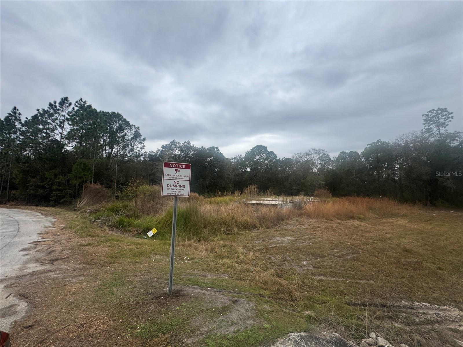 1443 TERN CT, POINCIANA, FL, 34759