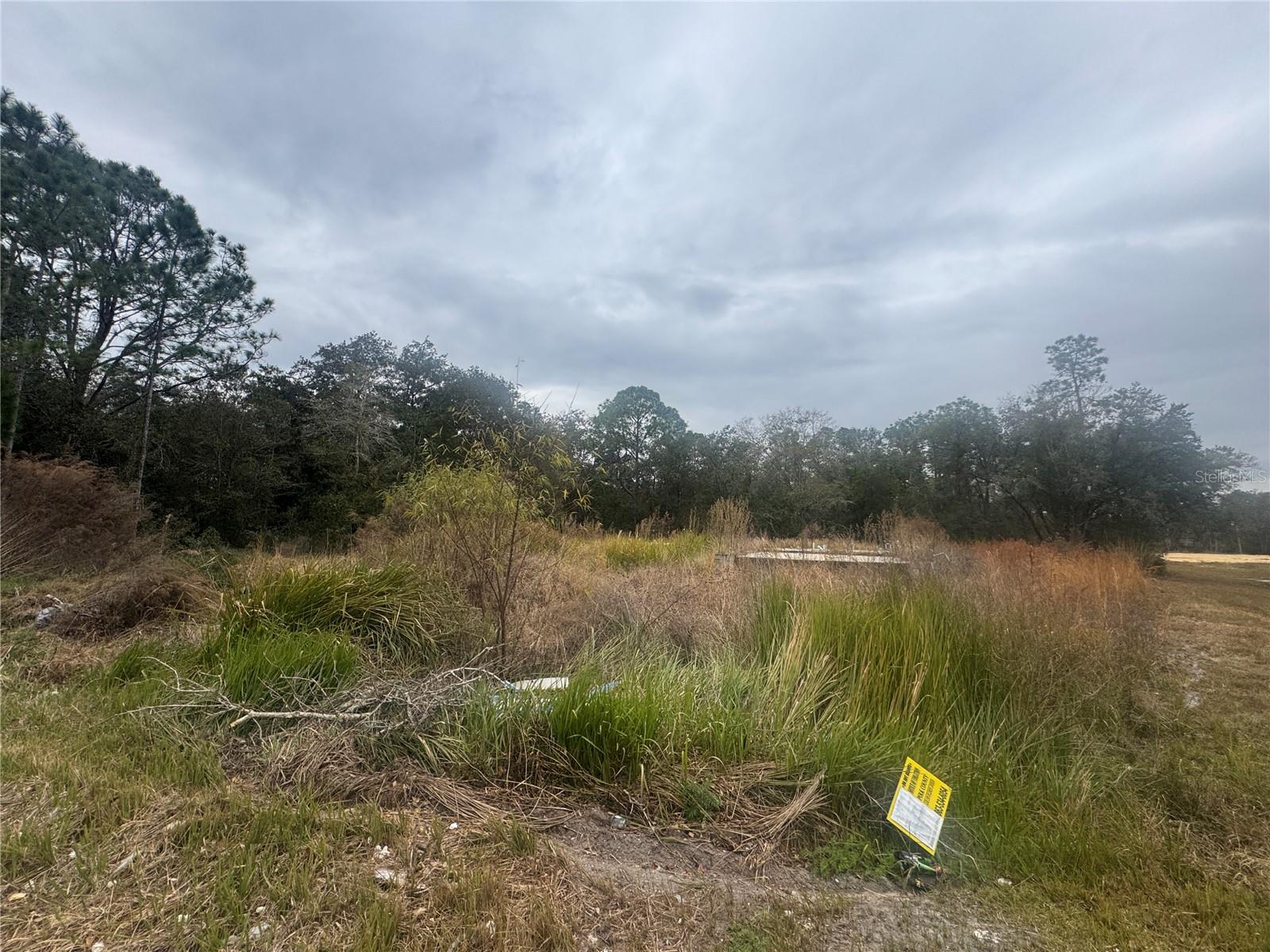 1443 TERN CT, POINCIANA, FL, 34759