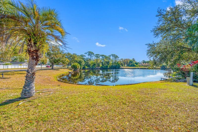 3241 BUCKHORN DR, CLEARWATER, FL, 33761