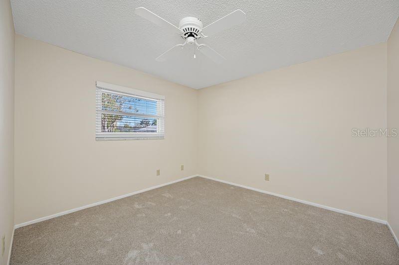 3241 BUCKHORN DR, CLEARWATER, FL, 33761