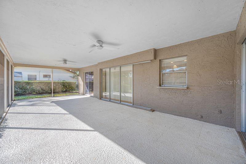 3241 BUCKHORN DR, CLEARWATER, FL, 33761