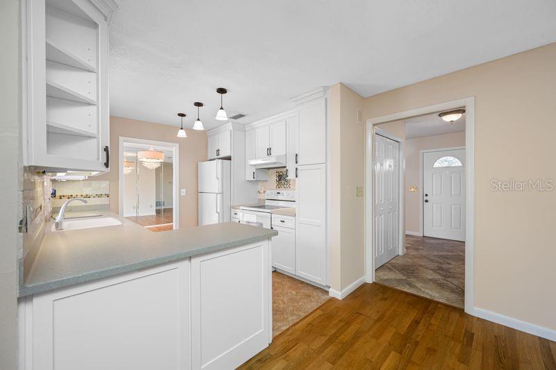 3241 BUCKHORN DR, CLEARWATER, FL, 33761