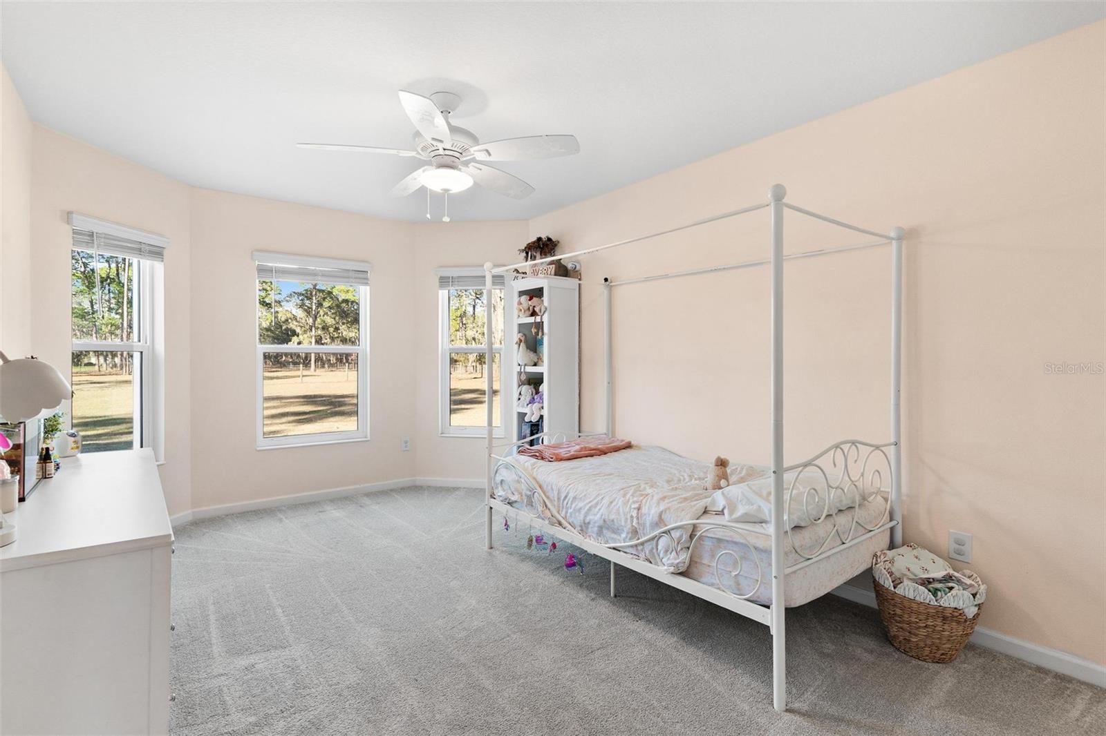 2495 COUNTY ROAD 245D, OXFORD, FL, 34484