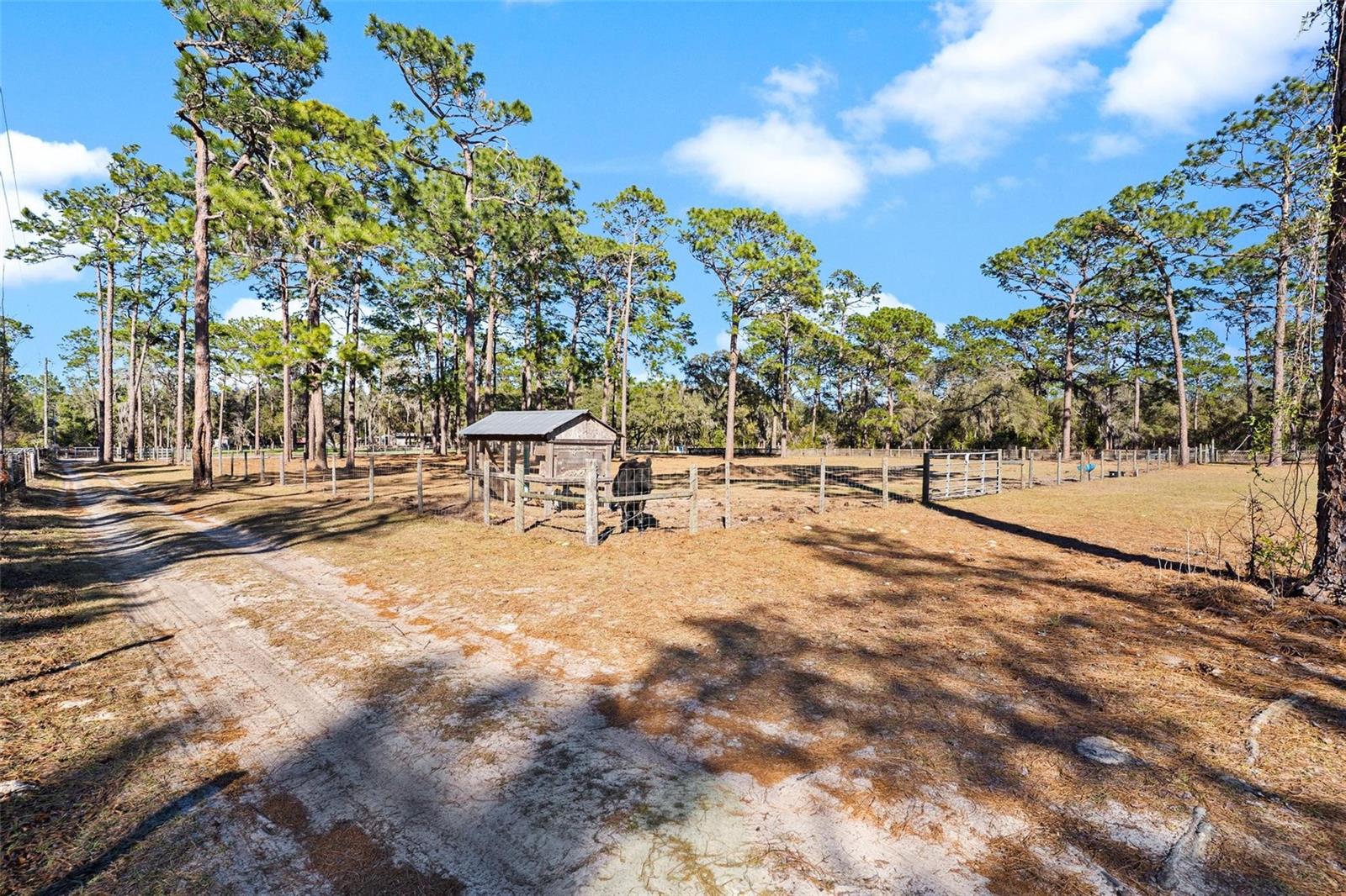 2495 COUNTY ROAD 245D, OXFORD, FL, 34484