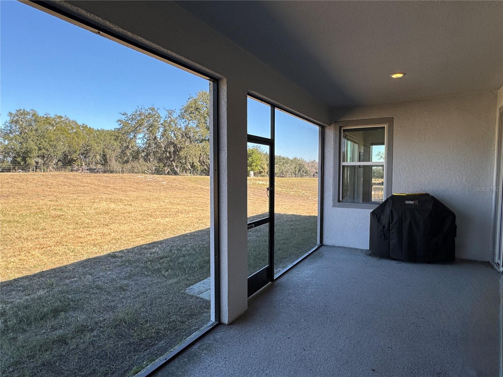 10190 DOLPHIN GULL CIR, THONOTOSASSA, FL, 33592