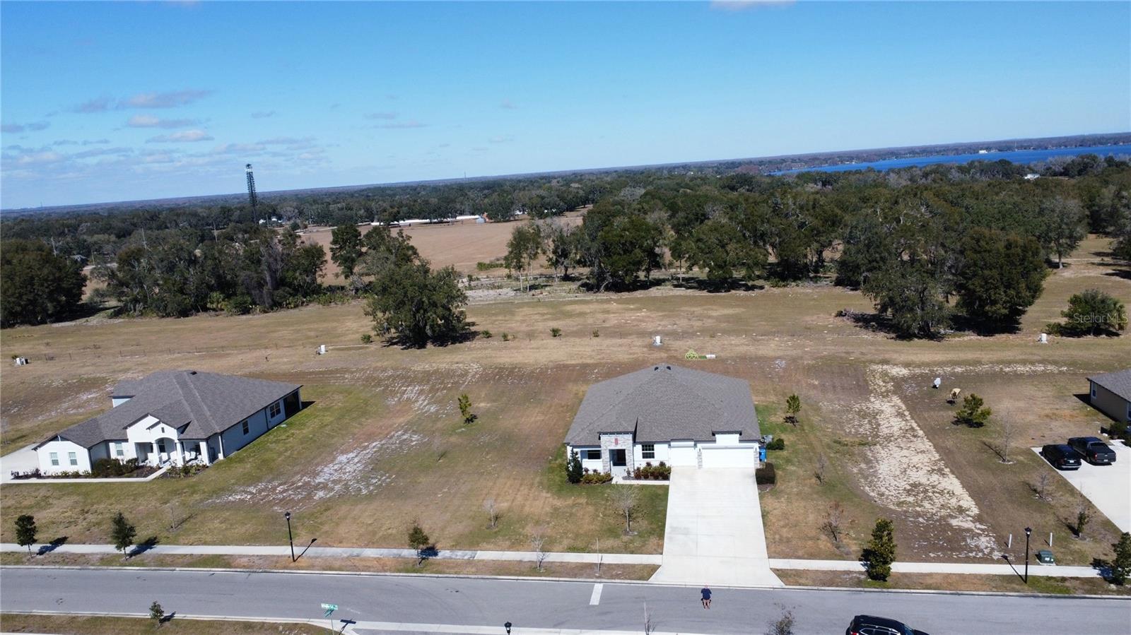 10190 DOLPHIN GULL CIR, THONOTOSASSA, FL, 33592