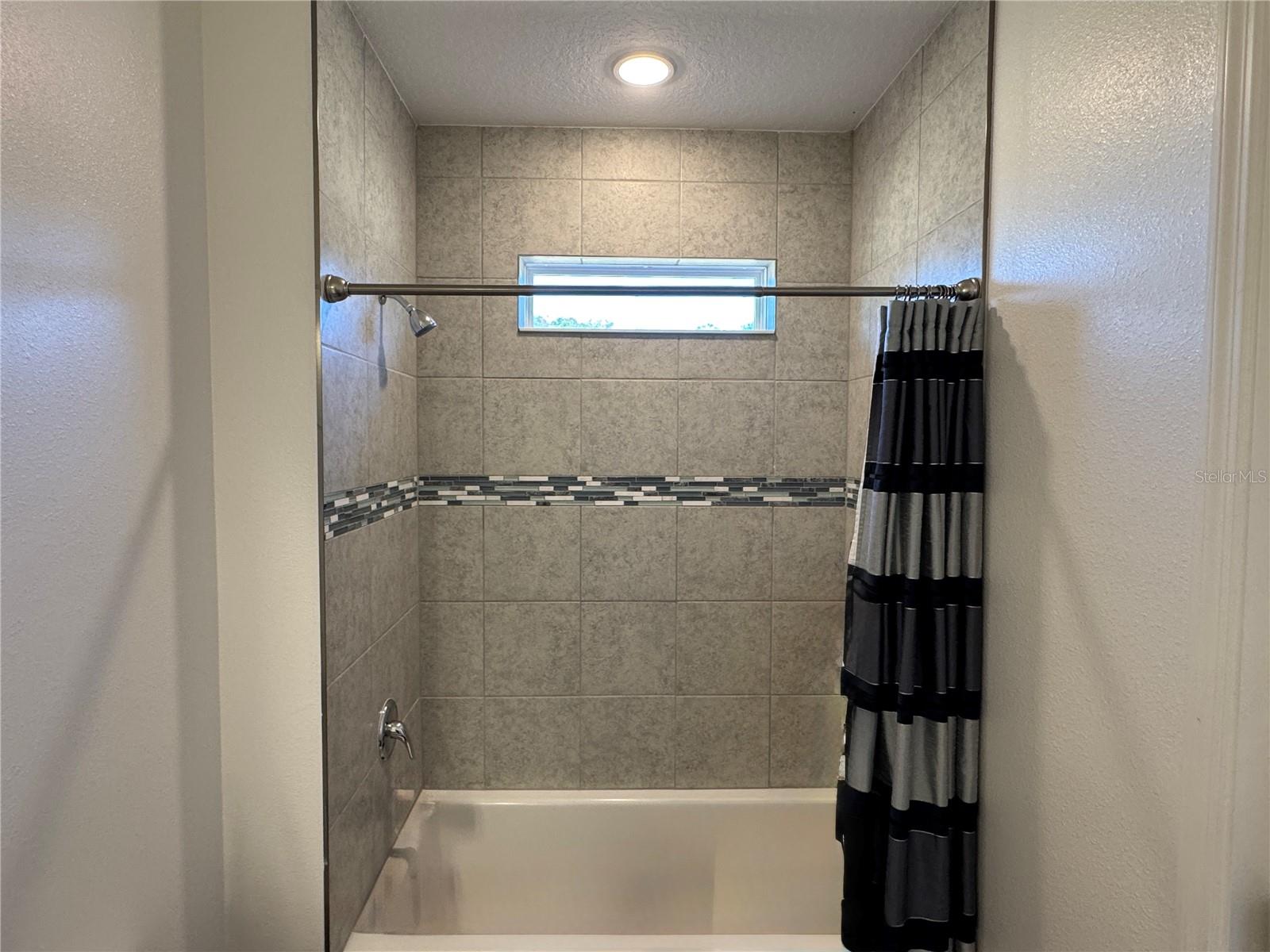 10190 DOLPHIN GULL CIR, THONOTOSASSA, FL, 33592