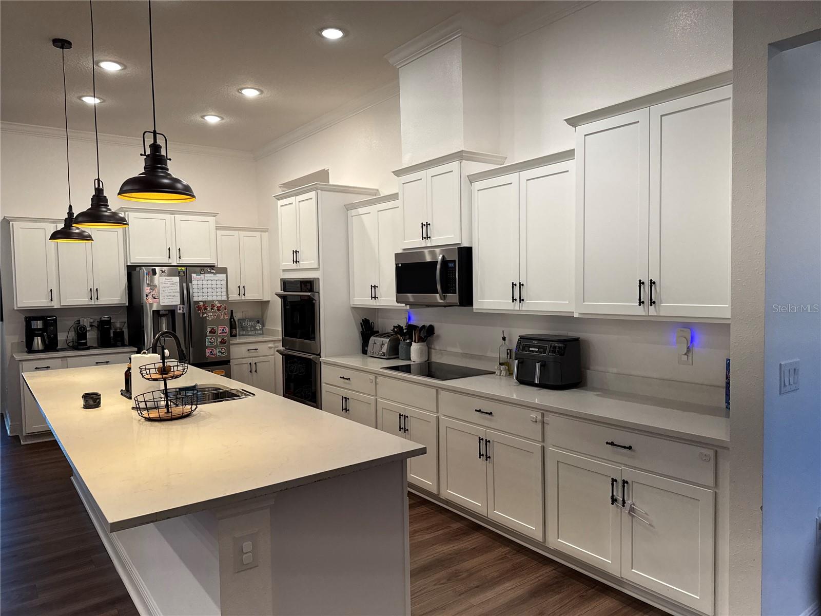 10190 DOLPHIN GULL CIR, THONOTOSASSA, FL, 33592