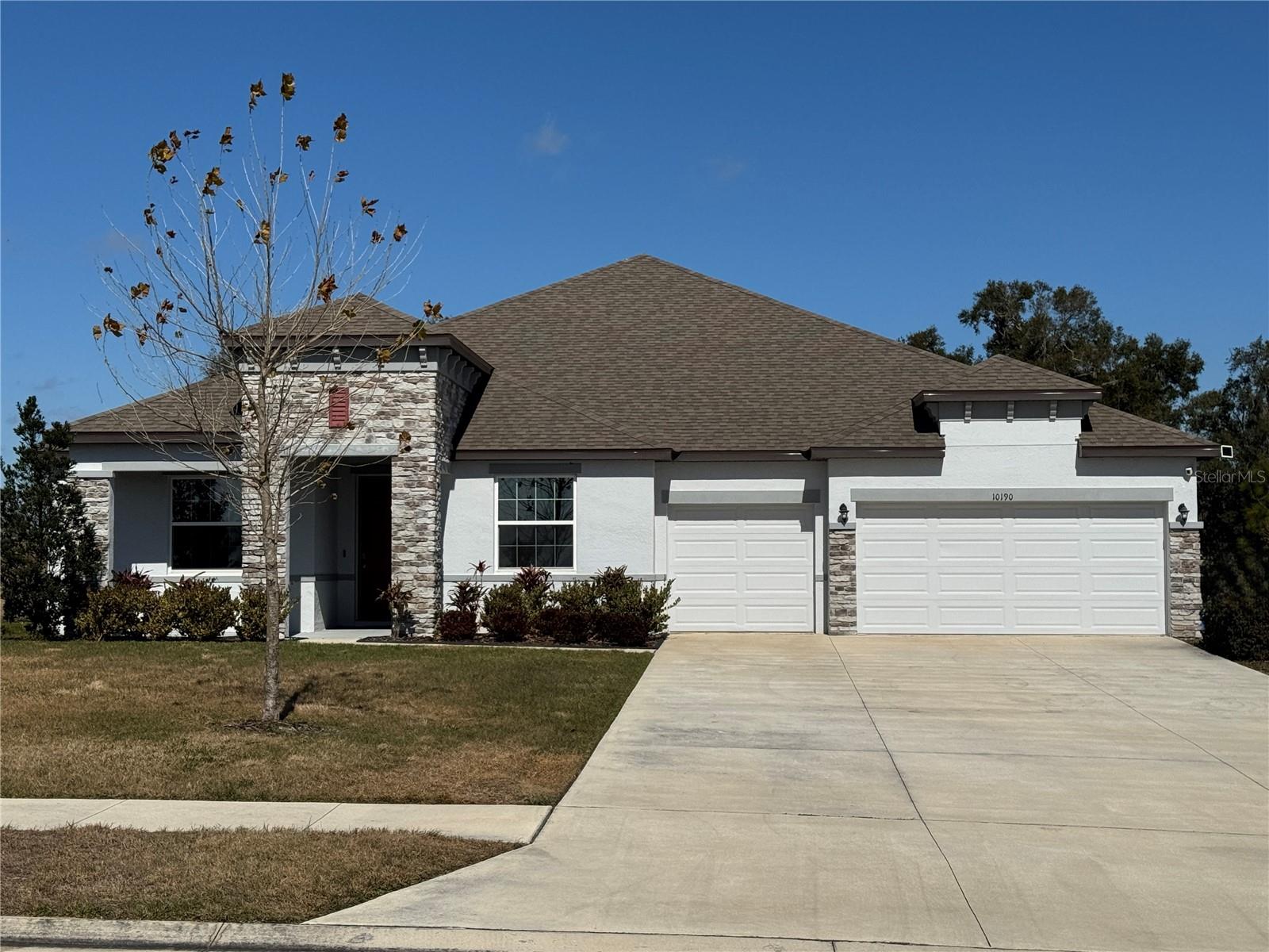 10190 DOLPHIN GULL CIR, THONOTOSASSA, FL, 33592