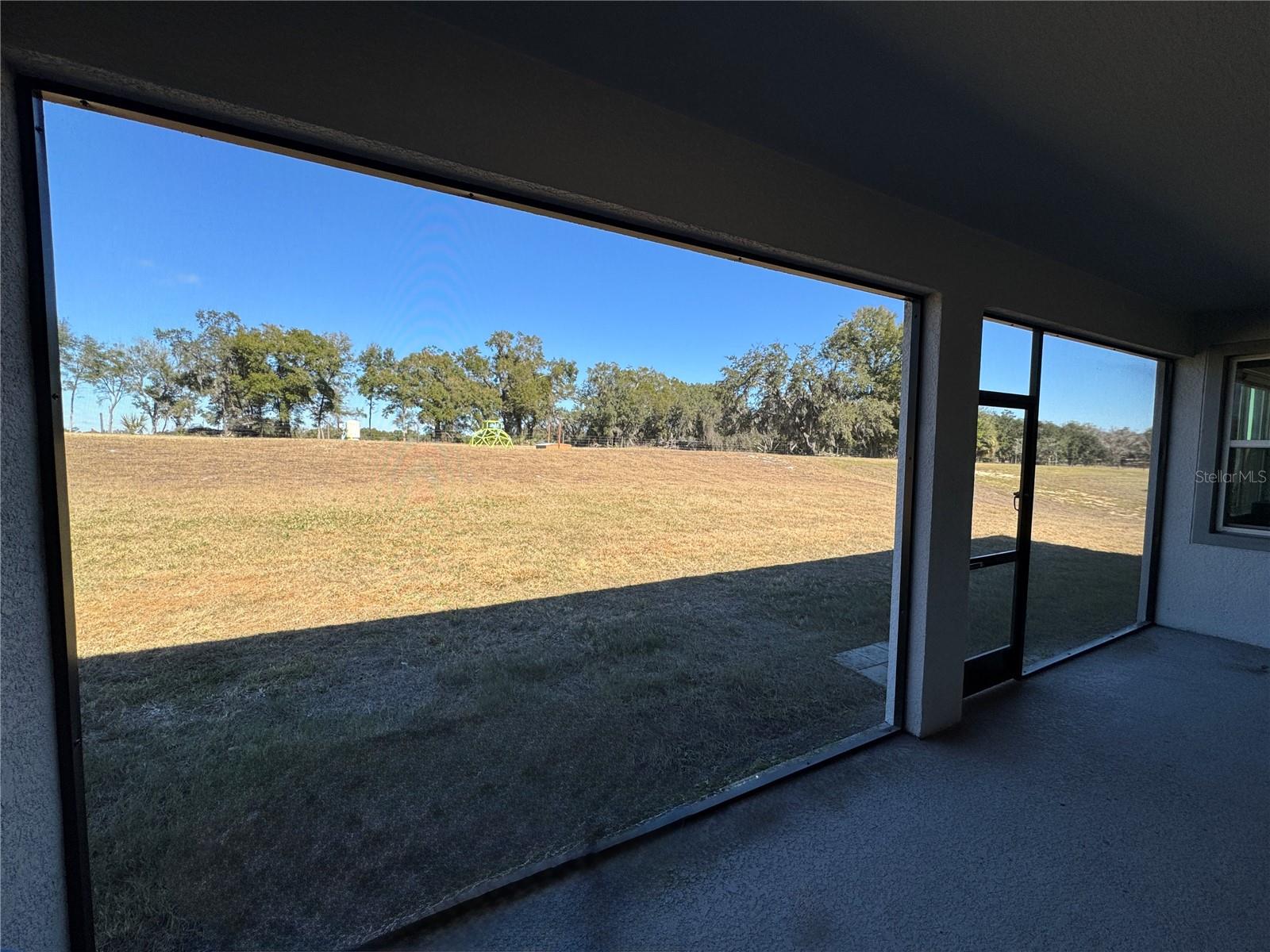 10190 DOLPHIN GULL CIR, THONOTOSASSA, FL, 33592