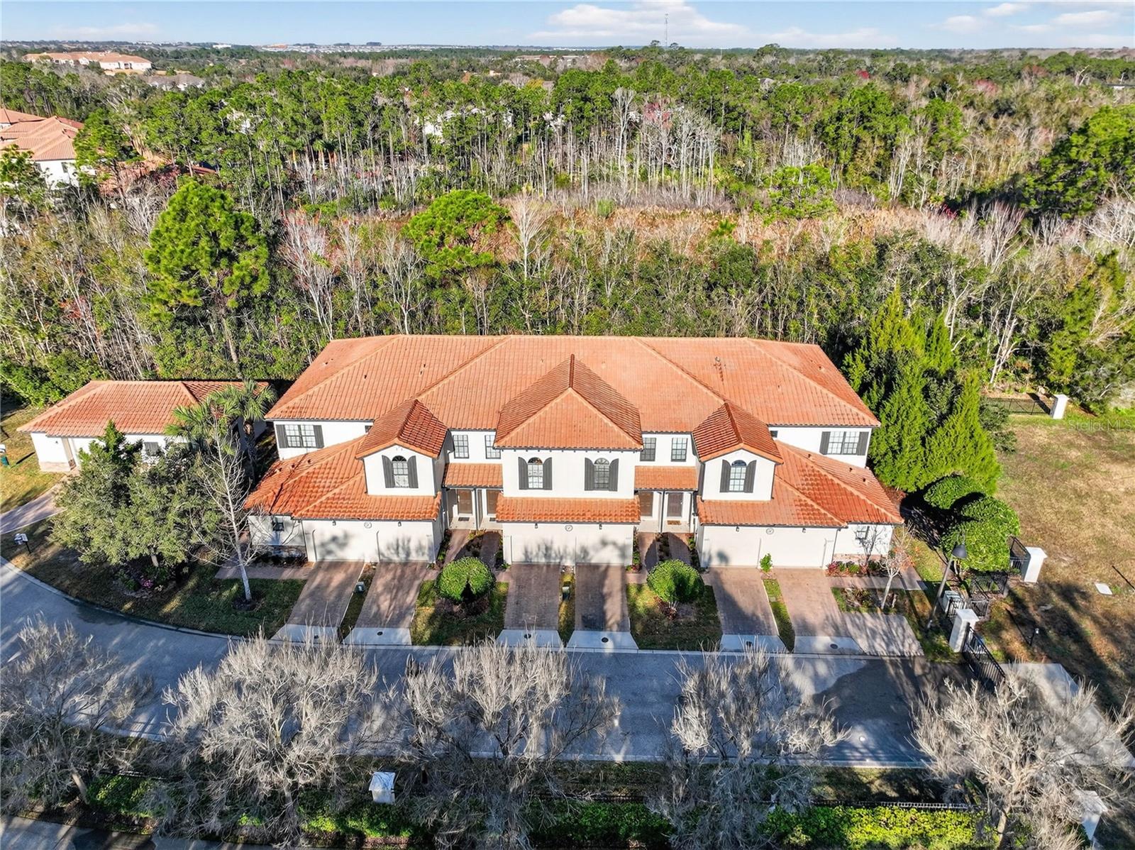 8087 BROOKSVILLE DR, DAVENPORT, FL, 33896