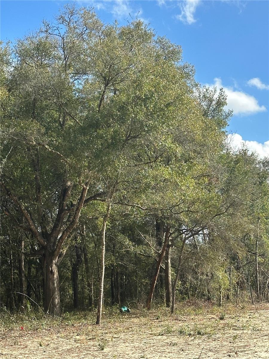 1276 STATE ROAD 20, INTERLACHEN, FL, 32148