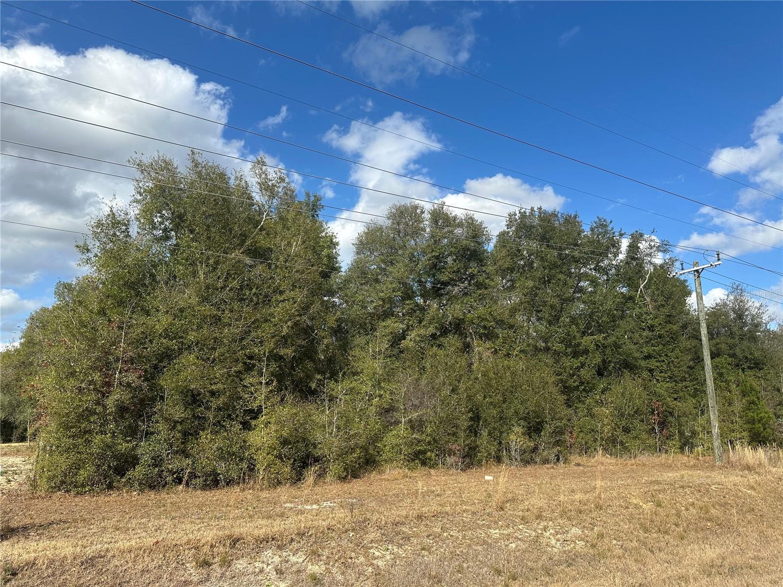 1276 STATE ROAD 20, INTERLACHEN, FL, 32148