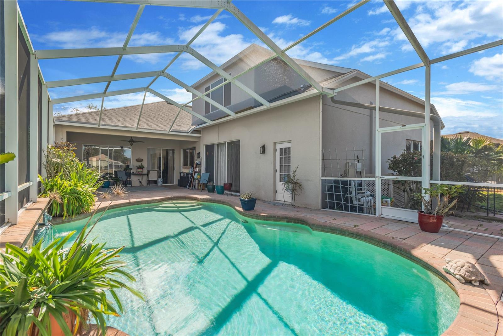 Custom in-ground pool