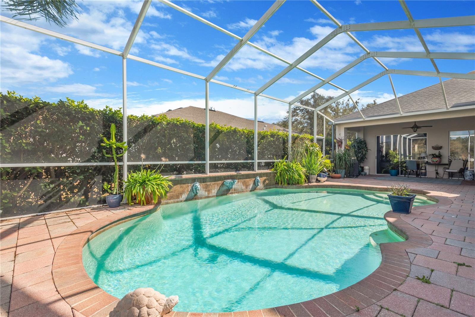 Great landscaping around pool cage for privacy
