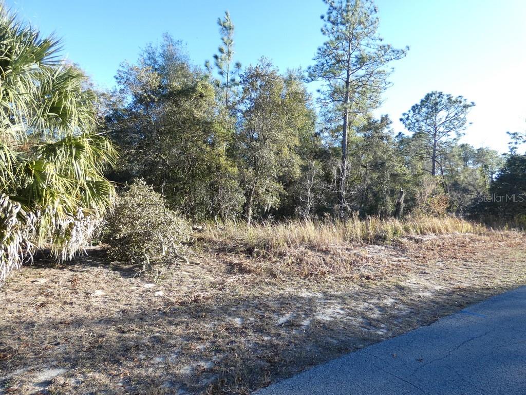 4571 N RUSHMORE LOOP, BEVERLY HILLS, FL, 34465