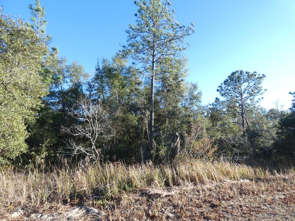 4571 N RUSHMORE LOOP, BEVERLY HILLS, FL, 34465