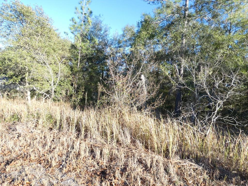 4571 N RUSHMORE LOOP, BEVERLY HILLS, FL, 34465