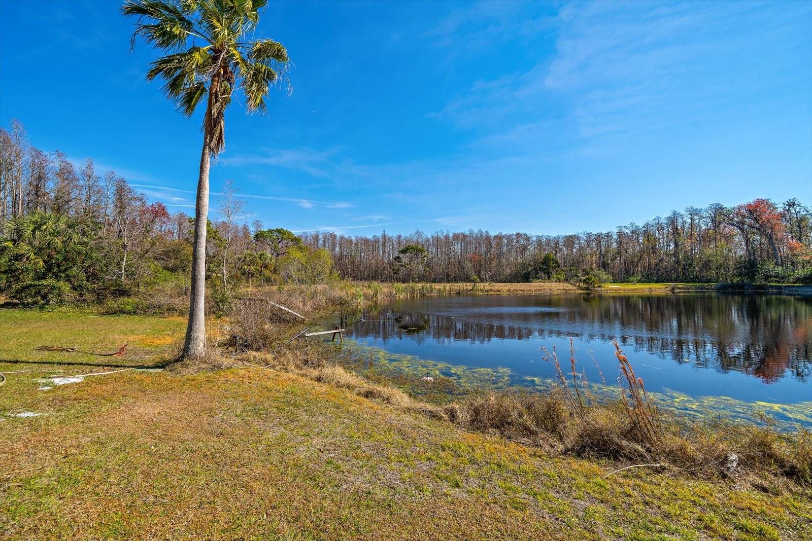 18419 TYLER RD, ODESSA, FL, 33556