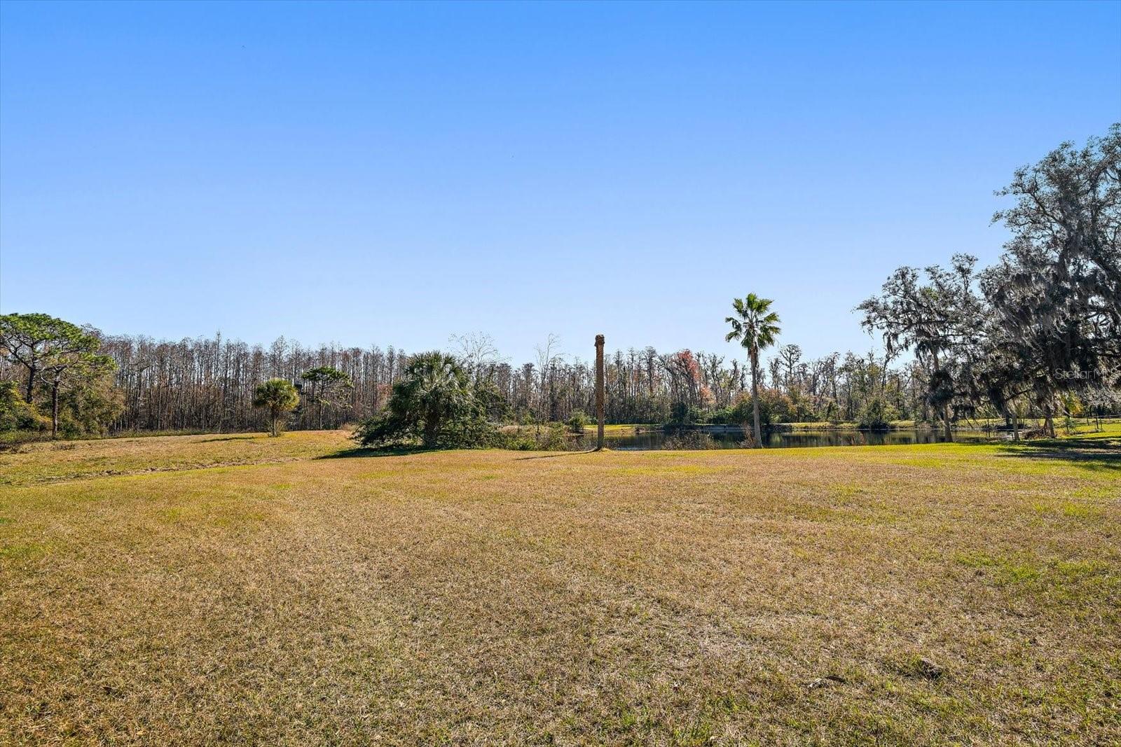 18419 TYLER RD, ODESSA, FL, 33556