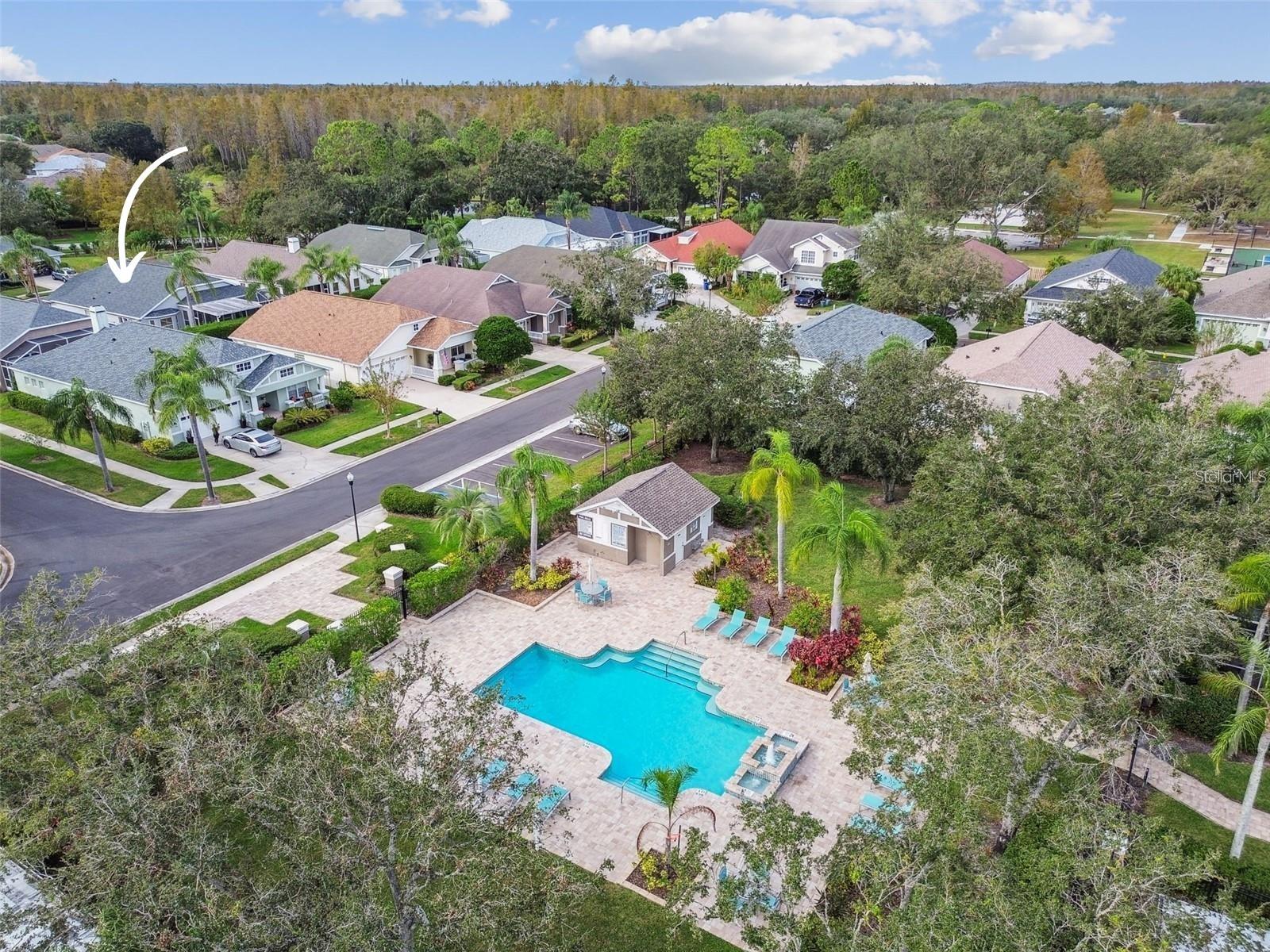 19413 GOLDEN SLIPPER PL, LUTZ, FL, 33558