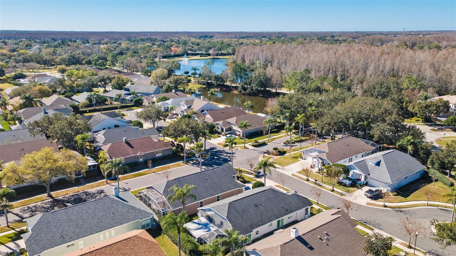 19413 GOLDEN SLIPPER PL, LUTZ, FL, 33558