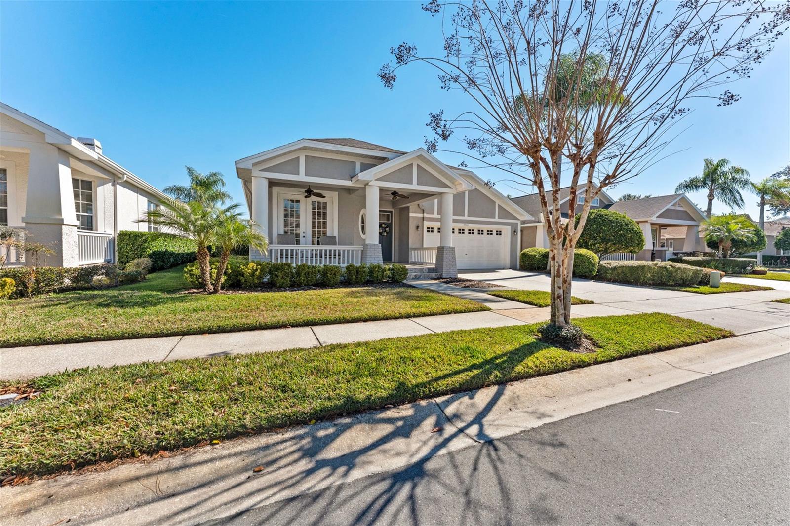 19413 GOLDEN SLIPPER PL, LUTZ, FL, 33558