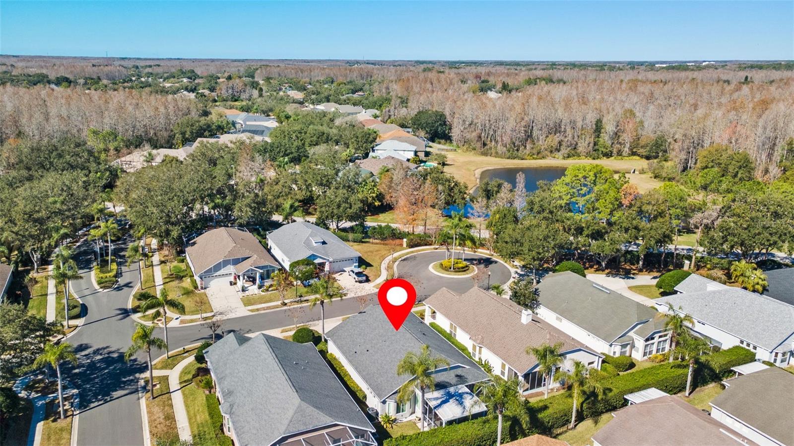 19413 GOLDEN SLIPPER PL, LUTZ, FL, 33558