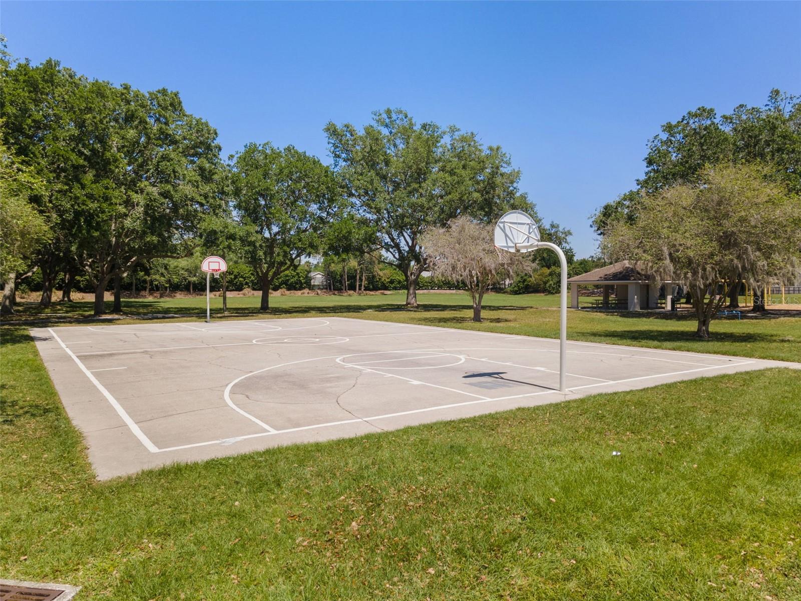 19413 GOLDEN SLIPPER PL, LUTZ, FL, 33558