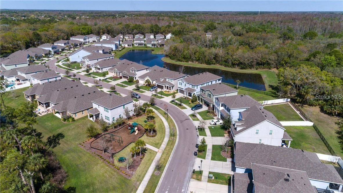 11333 QUIET FOREST DR, TAMPA, FL, 33635