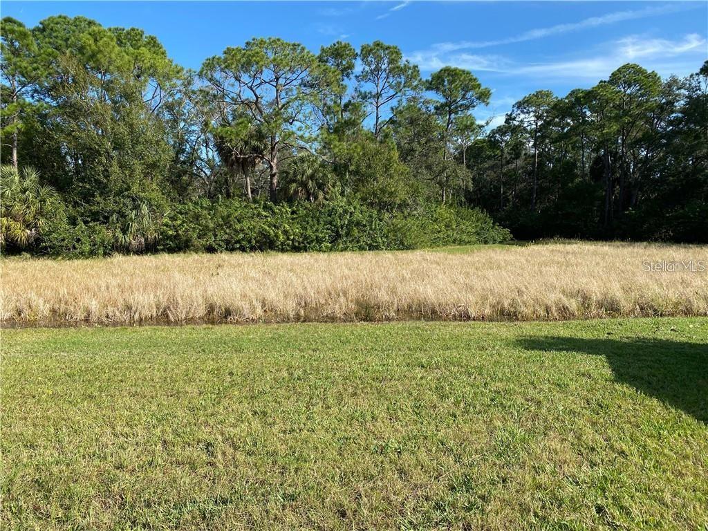 11333 QUIET FOREST DR, TAMPA, FL, 33635